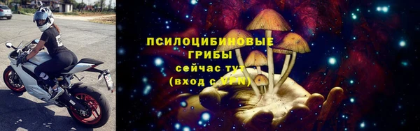 эйфоретик Алзамай