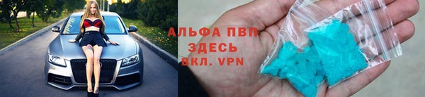 эйфоретик Алзамай