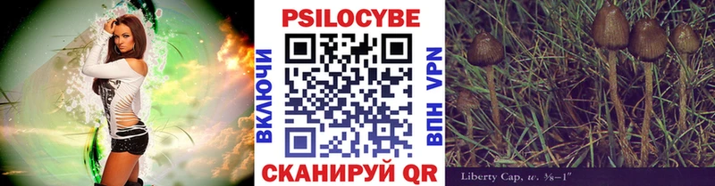 Галлюциногенные грибы Psilocybine cubensis  мега   Ревда  купить  цена 